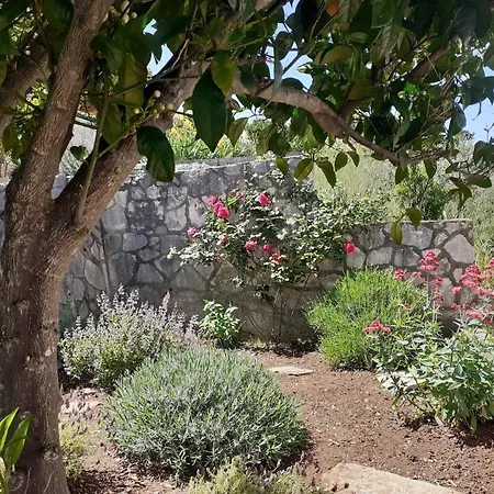 Apartments By The Sea Tri Zala, Korcula - 556